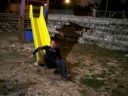 PEPO SCIVOLO