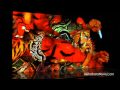 Sharp introduces a new Multi-screen display