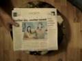 Blayne and Jana Wedding Part 1