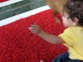 videos de Tomer is playing with Jilly