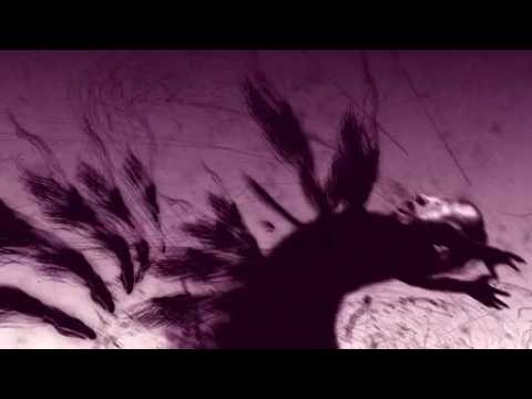 Image de prévisualisation YouTube
