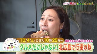 いっとこ！みんテレ
