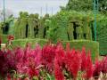 videos de Hino de Victor Graeff.wmv