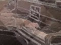 Steinway TCHAIKOVSKY Juliets & Romeos In Manuscript