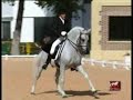 Yeguada Aimaran: Ingenioso XX- Cto. Espa�a 2004