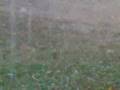 videos de hail storm hostel 4.3gp
