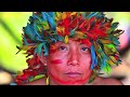 Gathering Data on Plants and Animals in the Amazon Basin