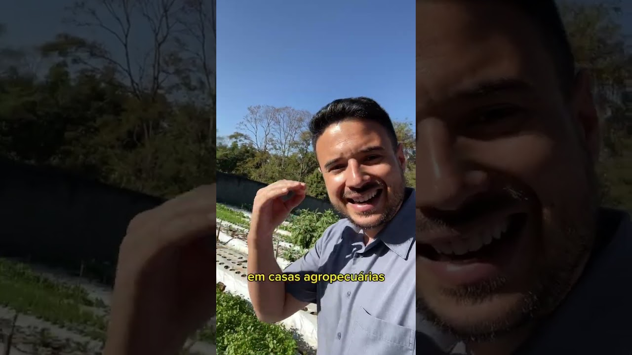 Onde comprar o mulching?