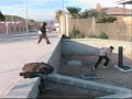 Free Jump - parkour & trickz- sampler