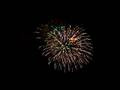 Hanabi em Minokamo