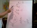 bayes theorem