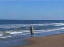 Outer Banks Fishing - Speckle Trout