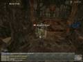 FFXI - Red Mage(rdm) melee Maat fight