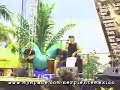 rock evolution