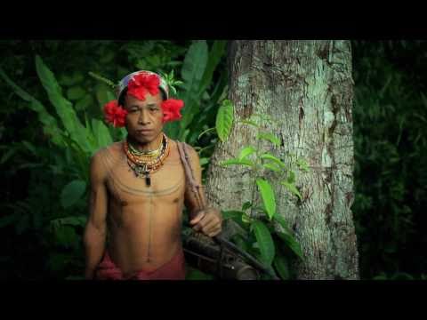 Image de prévisualisation YouTube