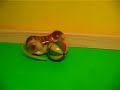 K�hler Katze mit grossem Ball