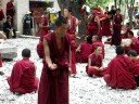 ??????? (Discussing Buddhism in Tibet )