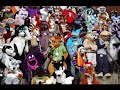 took very little video at this con so combined it with some photos that my friend took at fwa. the sabertooth is lacy and orange feline is dynamite.