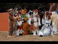 FWA 2007