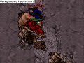 Tibia Nova Pk