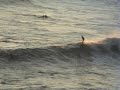 Direita Arrifana - Longboard