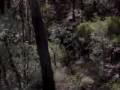 taken By The Curse un-official trailer