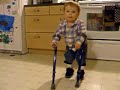 The Blue Walking Sticks