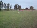 Penal