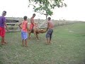 segura gaguinhoo