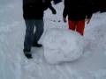 video palla di neve