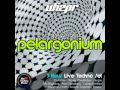 Whizpr - Pelargonium2011 - 3 hour Techno Set.avi