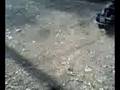 videos de Kicken ride