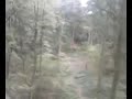 JPOC- GO APE- Wyre forest - Daveymo 4th Zip Line