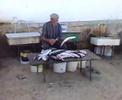 Old Fisherman cutting the fins off his catch