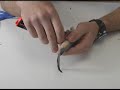 Rigging an Eelskin Swimmer