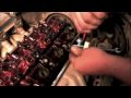 Honda Valve Adjustment