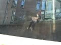 Parkour Zeeland