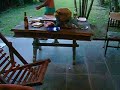 Durmindo com nádegas