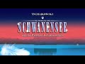 Schwanensee - mit den Weltstars des Eiskunstlaufs