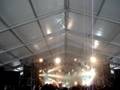 THE TROUBADOURS SUMMER SONIC 08