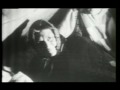 Il terremoto del Belice 1968
