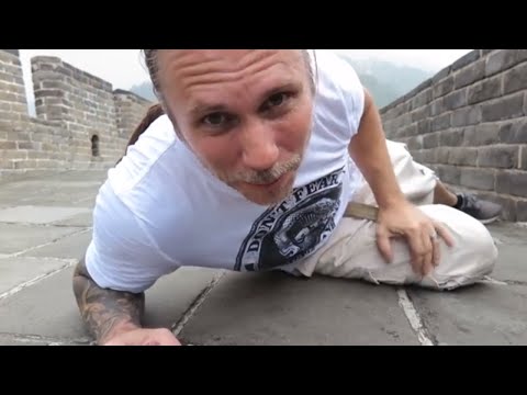 YouTube reptile video