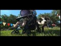Rally to Rescue Pet Rescue Story Contest