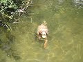 Angus Swims Some More