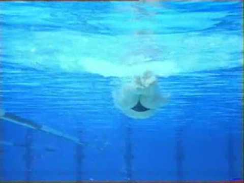 Imagen de previsualización de YouTube