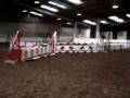 9 yrs 15 hh Bright Bay Welsh X Haywards Heath