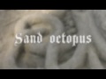 Sand octopus