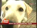 Railways outsource security dogs