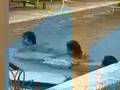 GH5 GH9 JR77 Sebastian insoportable