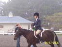 Horses I've Loved